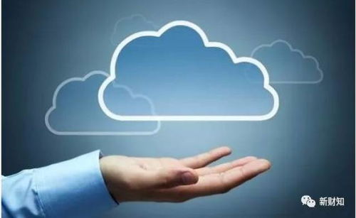 网宿科技股权变更引关注，市场传言需理性看待